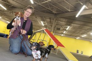 Patricia Debarros-Kari, facility director of Dog Quest at 1565 W. Main St. in Lewisville, holds Tyke while surrounded by Claudia, Geoffrey and Henry. (Photo by Dawn Cobb)