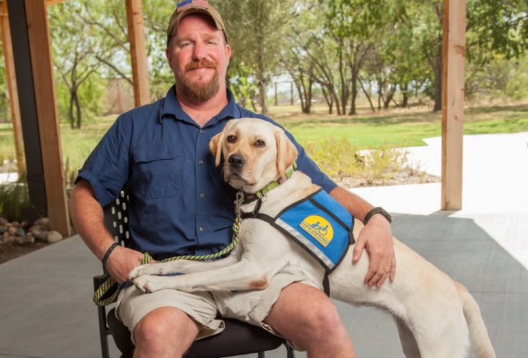 Canine companion making life easier for disabled vet