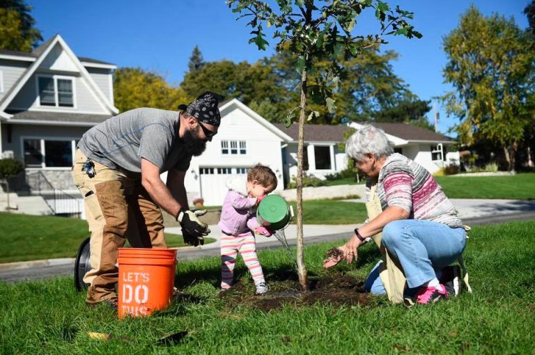 Registration for Flower Mound’s Arbor Day tree giveaway opening soon